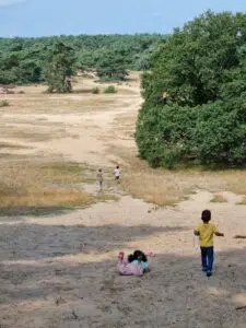 Breng een bezoek aan de Hoge Veluwe tijdens uw verblijf en geniet van de natuur